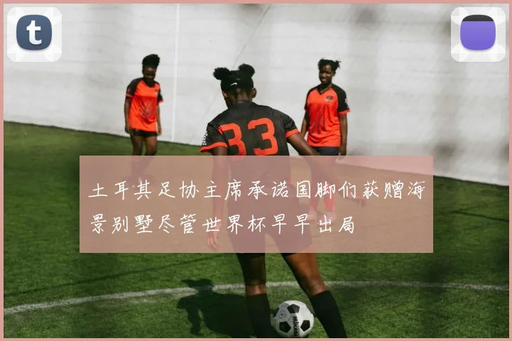 土耳其足协主席承诺国脚们获赠海景别墅尽管世界杯早早出局