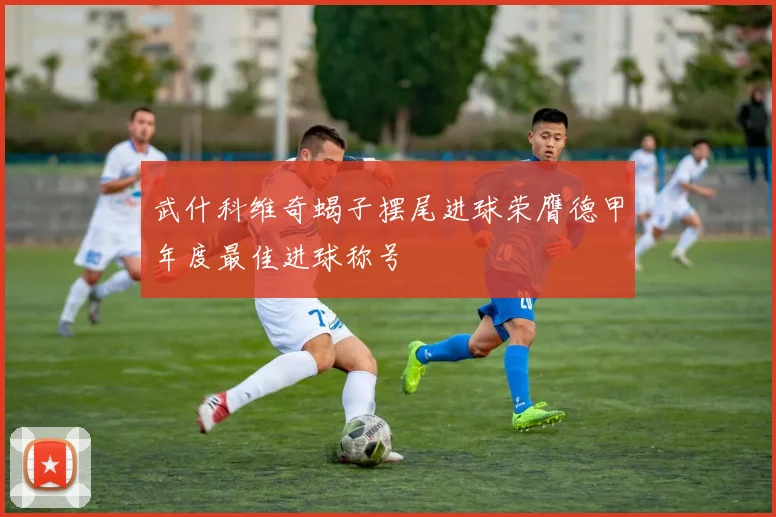 武什科维奇蝎子摆尾进球荣膺德甲年度最佳进球称号